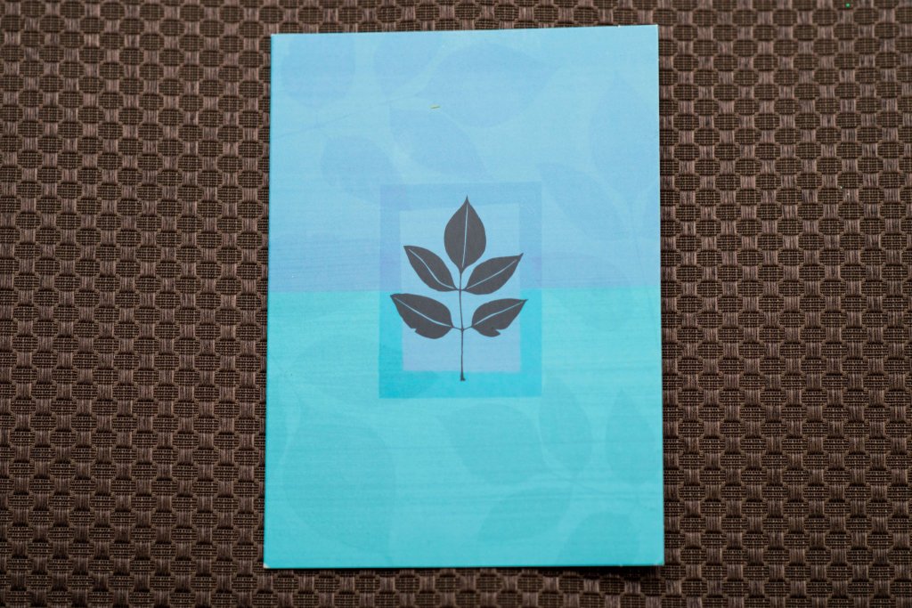 Patient review card number 8