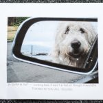 Patient review card number 22