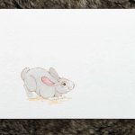 Patient review card number 42