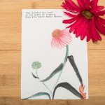 Patient review card number 68